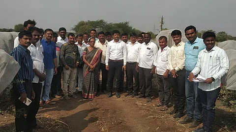 Pomegranate Production : निर्यातक्षम डाळींब उत्पादनासाठी रोगमुक्त रोपे तसेच उत्तम एकात्मिक व्यवस्थापन आवश्यक - डॉ. सोमनाथ पोखरे