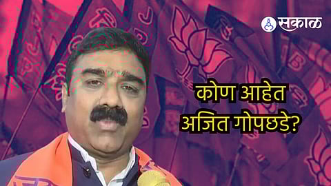 Who is Ajit Gopchade nominated by BJP for Rajya Sabha