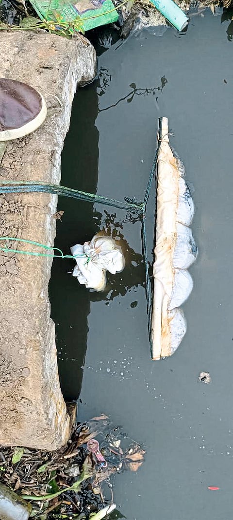 जलपर्णी काढण्याचा वेग वाढवला