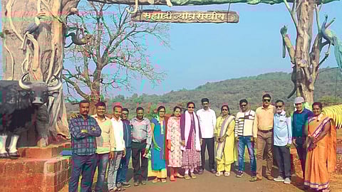Chandoli Tourism