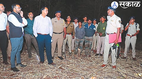 District Collector Ayush Prasad while inspecting the place where trees were felled. Along with forest department officials.