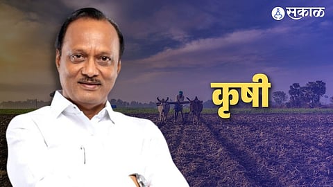 Ajit Pawar_Maharashtra Budget 2024