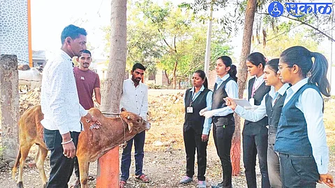 Students of Agriculture College participating in Animal Vaccination Campaign.