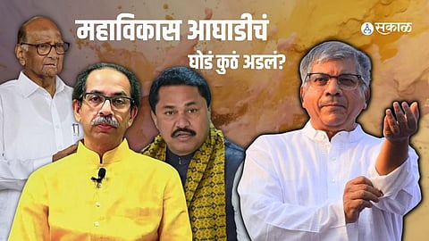 Loksabha Election 2024-Maharashtra politics news-BJP plan-Maha Vikas Aghadi Prakash Ambedkar Discussion-vanchit-seat allocation