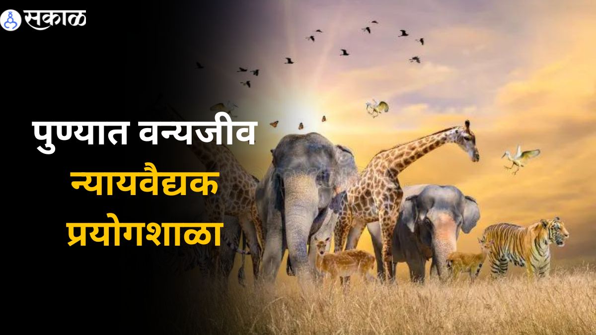 Wildlife Forensic Laboratory