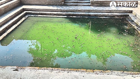 Algal waters of Sita lake.