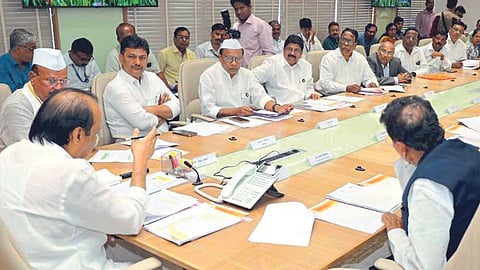 Cashew Nut Processing Industries Ajit Pawar