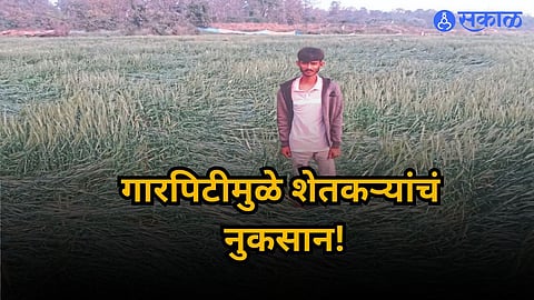 Nagpur Agriculture: गारपिटीमुळे कोट्यवधींच्या पिकांचा चुराडा,
शेतकऱ्यांची मदतीची मागणी; जिल्हाधिकाऱ्यांना दिले निवेदन