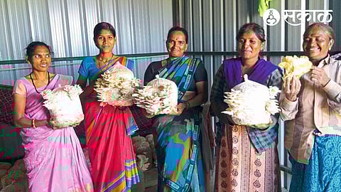 Woman showing successful mushroom production in first attempt