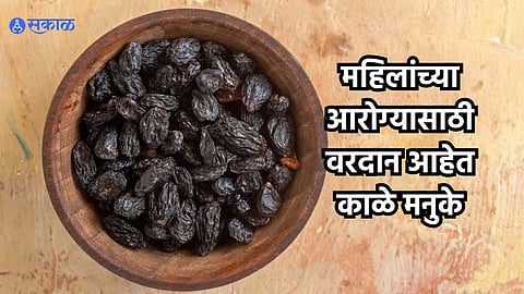 Period Remedies : रोज खा भिजवलेले काळे मनुके, मासिक पाळीच्या सर्व समस्या दूर होतील