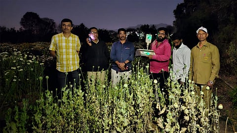 afu agriculture in saswad