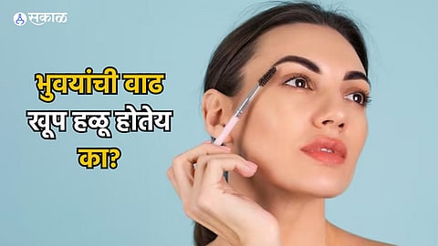 Beauty Tips : भुवयांची वाढ खूप हळू होतेय का? मग ट्राय करा हे घरगुती उपाय आणि पाहा परिणाम