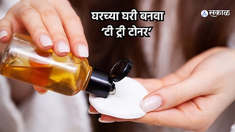 Skin Care : महागड्या 'टी ट्री टोनर'वर पैसे खर्च करणं टाळा! घरच्या घरी करता येईल तयार; जाणून घ्या कसं