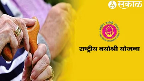 Chief Minister Vayoshree Yojana