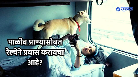 Travel Diaries with Pets