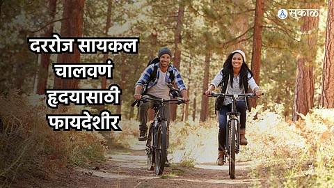 Benefits of Cycling : दररोज सायकल चालवणं हृदयासाठी फायदेशीर; जाणून घ्या इतर फायदे