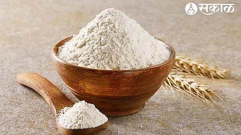 Wheat Flour