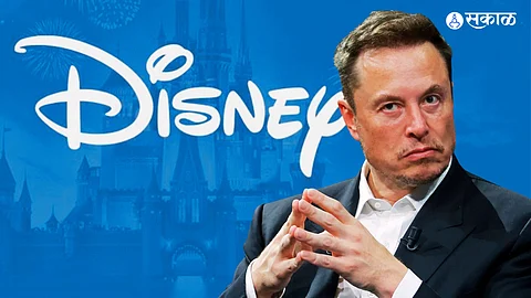 Elon Musk Disney Lawsuit