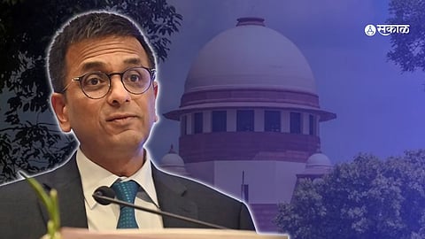 Supreme Court-on-reservation-sc-st-obc-Power of State Government to sub-categorize into Scheduled Castes and Scheduled Tribes-dy-chandrachud-