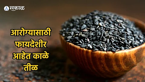 Black Sesame Benefits : यकृत निरोगी ठेवण्यासाठी उपयुक्त आहेत काळे तीळ, जाणून घ्या ‘हे’ आरोग्यदायी फायदे 