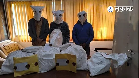 drug trafficking