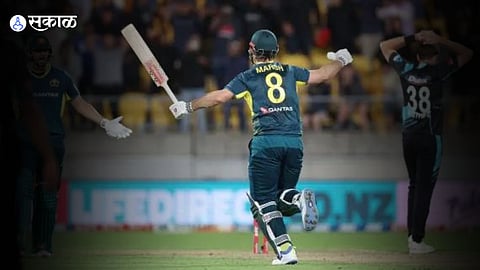 New Zealand vs Australia T20I Marathi News