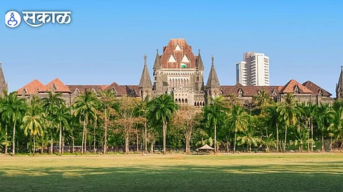 dhangar reservation high court