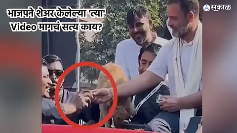 Rahul Gandhi on Dog Biscuits Viral Video