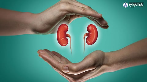 dialysis patients kidney guard received grants of dst and patents health