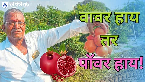 Success Story Yamaji Patilwadi Farmer