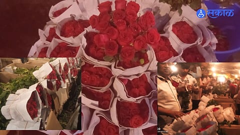 Valentine's Day: व्हॅलेंटाईन आला तरी गुलाबाची कळी खुलेना; मनासारखा भाव मिळेना