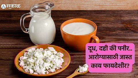 Health Care News : दूध, दही की पनीर... आरोग्यासाठी जास्त काय फायदेशीर? जाणून घ्या तज्ज्ञांकडून