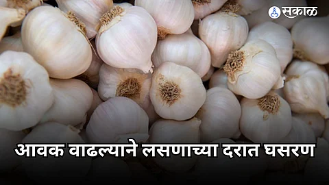 Nagpur