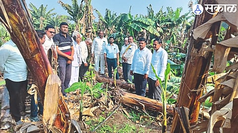 Officials of Kisan Morcha of BJP inspecting the damage in the fields.