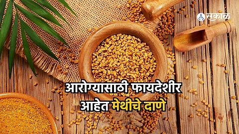 Fenugreek Seeds Benefits : लोहाची कमतरता दूर करण्यासाठी उपयुक्त आहेत मेथीचे दाणे, जाणून घ्या ‘हे’ आरोग्यदायी फायदे