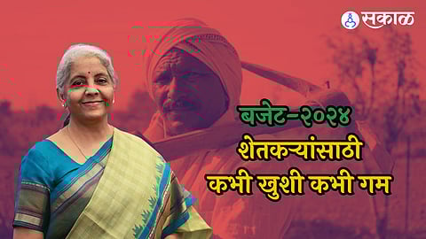 Budget for Agriculture: केंद्रीय अर्थसंकल्प, कही खुशी कही गम! शेतीसाठी निराशाजनक असल्याच्या प्रतिक्रिया