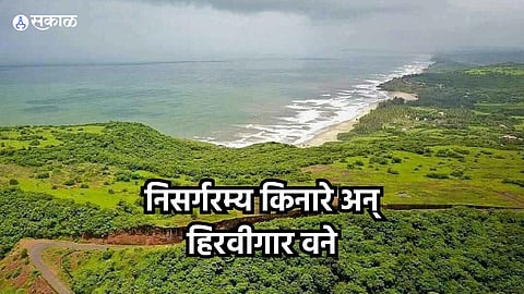 Maharashtra Tourist Places : निसर्गरम्य किनारे अन् हिरवीगार वने.. नेचर लव्हर्सना फिरण्यासाठी बेस्ट आहेत रत्नागिरीमधील ही ठिकाणं
