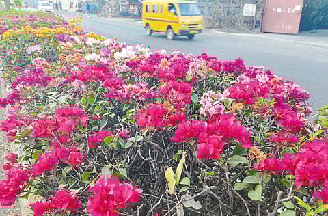 टेल्को रस्त्यावर रंगांची उधळण