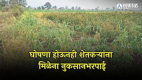 Nagpur: अधिवेशनात शेतकऱ्यांच्या मदतीचा गाजावाजा, पण दीड महिना उलटूनही मिळेना नुकसानभरपाई, सरकारचं दुर्लक्ष