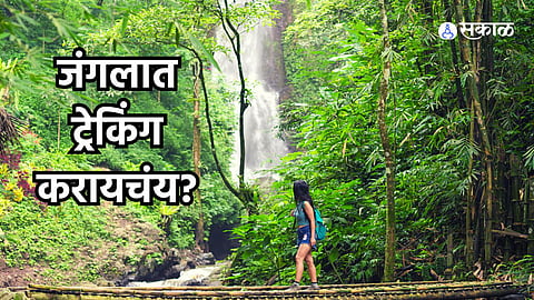 Jungle Trekking