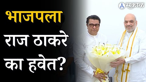 Raj Thackeray Amit Shah Meeting