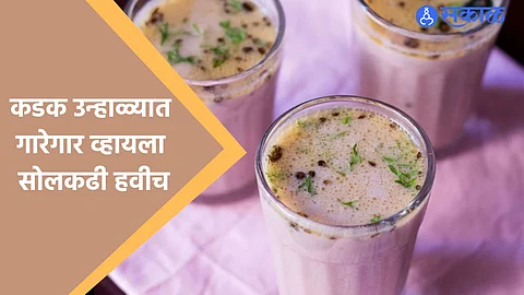 Solkadhi Recipe : कडक उन्हाळ्यात गारेगार व्हायला सोलकढी हवीच,जाणून घ्या सोपी रेसिपी