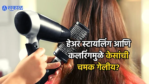 Hair Care Tips : हेअर स्टायलिंग आणि कलरिंगमुळे केसांची चमक गेलीय? मग, 'या' नैसर्गिक हेअर मास्कचा करा वापर