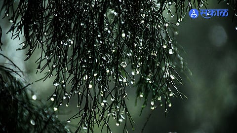 Unseasonal rain Alert