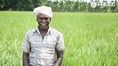 Happy Farmer