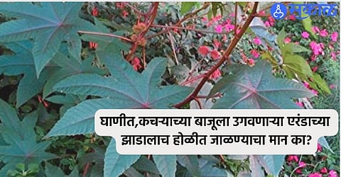 Holi 2024