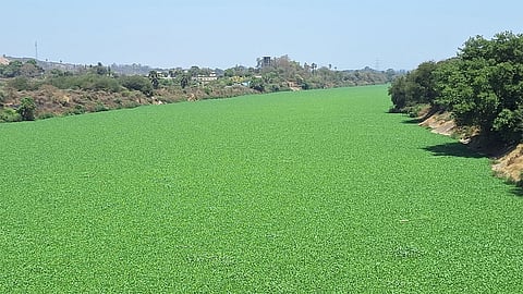 Ulhas River Jalparni