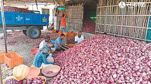 खामखेडा परिसरात कांदा साठवणूक करताना शेतकरी वर्ग.