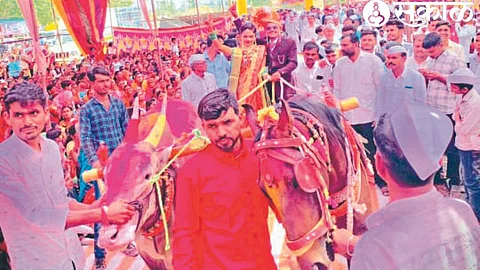 Groom Mahesh and bride Kajal arrived at the wedding hall in a bullock cart.