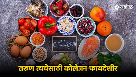 Collagen Rich Foods